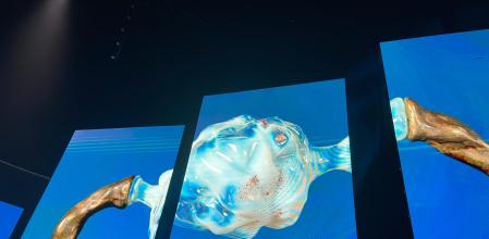 Su visión del ovario criogénico (o la congelación de óvulos)