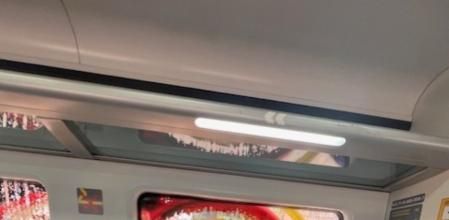 Cristina Castro ve “desesperante viajar en Rodalies”, pero aún “lo es más conseguir un buen sitio, mirar por la ventana y ver ese lienzo sin gusto que tapa el