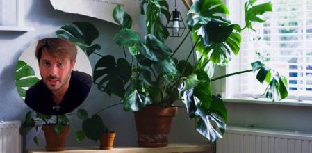 Álvaro Pedrera, experto en plantas, explica cuándo hay que cortar las hojas de las plantas y cuánd no.