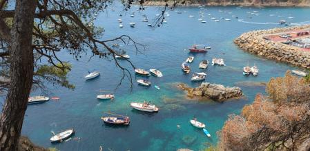 Embarcaciones de ocio fondeadasen una cala de Llafranc sin respetar la reglamentación