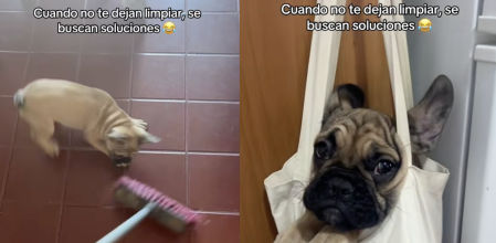 Tuvo que recurrir a medidas desesperadas