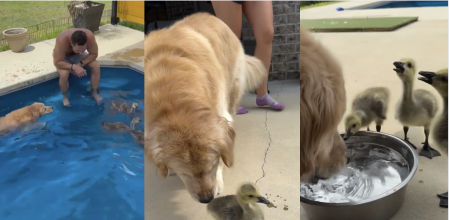 Maya se encargó de ser su madre