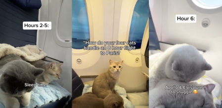 Rompieron muchos prejuicios