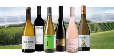 Ruta por seis denominaciones catalanas: un viaje por el vino sin salir de casa