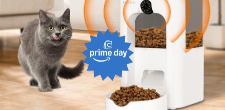 Todo lo que necesitas para tu gato está en oferta en el Prime Day de Amazon