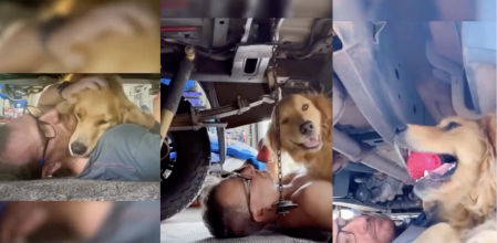 Lo hacía siempre que podía