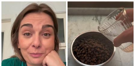 Los 5 consejos para el cuidado de tu perro