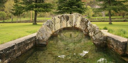 Las Fuentes Tamáricas
