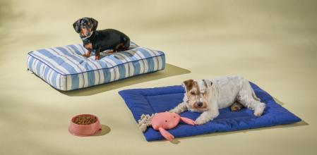 Descubre la colección 'Fred &amp; Rita' de El Corte Inglés Mascotas