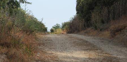 Reto Visual: ¿Puedes encontrar a todos los conejos de la fotografía?