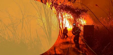 Generalitat de Catalunya