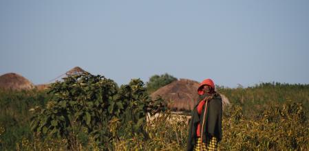 Utilizar este medio de transporte es una alternativa para explorar la naturaleza y los pueblos del país.