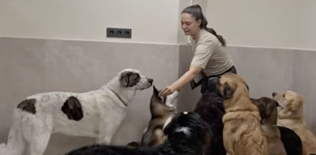 La cuidadora repite el mismo procedimiento con todos