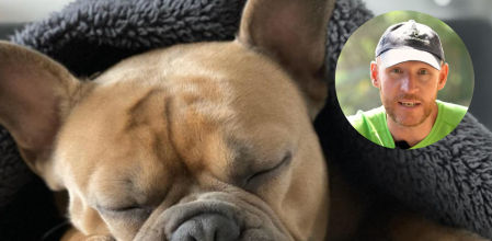 Alan Peiró, adiestrador canino: “Si tu perro bosteza cuando lo estás acariciando, podría estar diciéndote que no se siente del todo cómodo con esa situación”