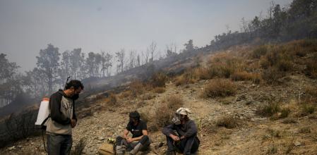 Varios voluntarios colaboran en las tareas de extinción del fuego de Palacios de Compludo, León