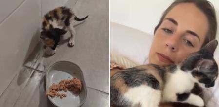 La historia de Leona, la gata a la que salvó la veterinaria Raquel Pavo: “Tenía la pata tan hinchada que parecía la de un león”