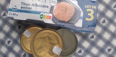 El atún en lata, todavía muy valorado en las clasificaciones de valor nutritivo que figuran en los envases , es un alimento ahora bajo sospecha en Francia para el consumo de los niños y adolescentes 