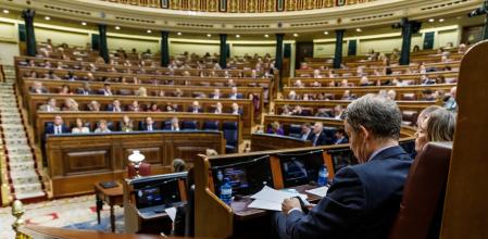 Pleno en el Congreso de los Diputados Control al Gobierno