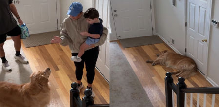 Beau se pasó el día esperando en la puerta sin moverse ni con los intentos de distraerle