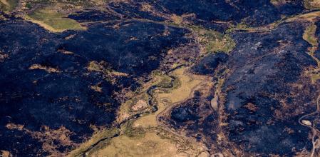 Efectos de los incendios en la zona del lago de Sanabria, la sierra Segundera y Porto, en Zamora
