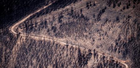 Efectos del incendio de Seadur (Larouco, en Ourense), el peor de la historia de Galicia, con 30.000 ha quemadas