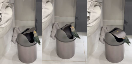 Protagonizó una dura batalla