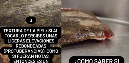 Un pescadero explica cómo diferenciar un rodaballo salvaje.