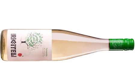 Valle de Uco, Mendoza-Argentina