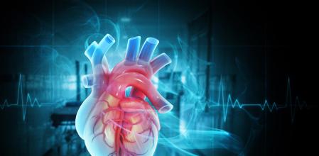 Este hallazgo nos muestra que todo aquello que sufrimos emocionalmente también puede afectar a un órgano como el corazón