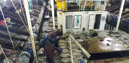 Uno de los buques que pescan calamares en aguas internacionales del Atlántico surocccidental, la llamada Milla 201.