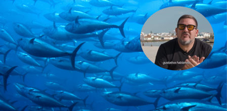 El cocinero Dani García, sobre el atún rojo.