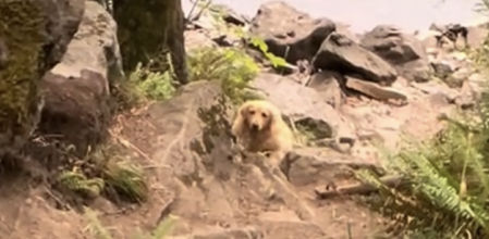 El vídeo de TikTok desató bromas y experiencias parecidas en los comentarios