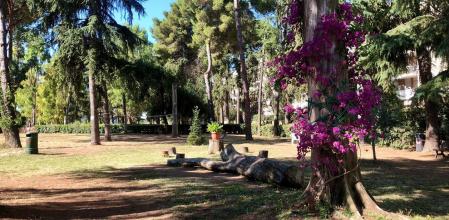 La víctima, un menor de edad, celebraba su cumpleaños en un parque cuando fue atacado por tres menores