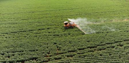 España es el tercer mayor exportador de plaguicidas prohibidos en la Unión Europea (UE), por detrás de Alemania y Bélgica, según Greenpeace, que señala que España aprobó en 2024 la exportación de casi 12.900 toneladas de plaguicidas prohibidos en la UE