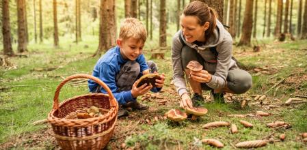 Una madre y su hijo se lo pasan en grande recogiendo setas en otoño