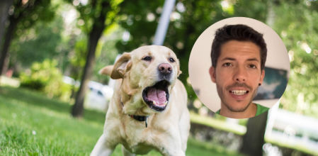 Un labrador ladrando en el parque