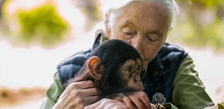Las imágenes de Jane Jane Goodall observando chimpancés en la Tanzania de 1960
