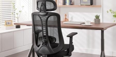 Magic Life Silla de Oficina ergonómica