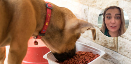 Carmen Arteaga, veterinaria: “Para enriquecer el plato de pienso de tu perro, añade alimentos cocinados y caldos que no tengan verduras tóxicas como cebolla o ajo”