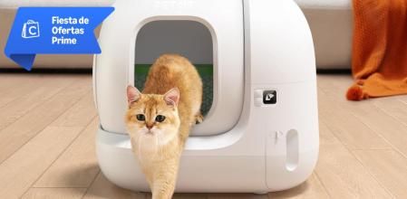 Areneros, rascadores y otros productos para tu gato con descuento Prime