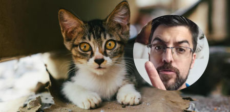 El veterinario desvela este truco útil para los dueños de felinos