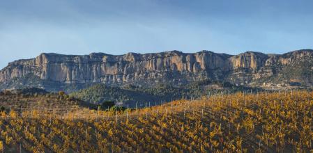 Montsant y las montañas de Prades