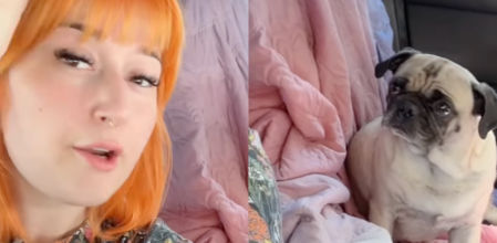 En lugar de avisar a las autoridades o esperar a que alguien lo reclamara, la mujer optó por cuidarlo y buscarle una nueva oportunidad