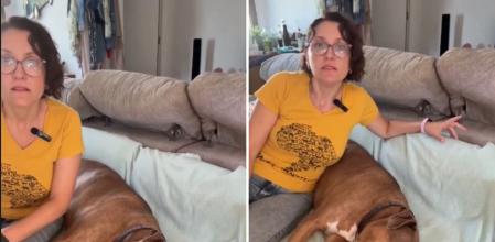 Paula Calvo, antrozoóloga: “Los perros no solo aprenden conductas. También interpretan el mundo según cómo se sienten”