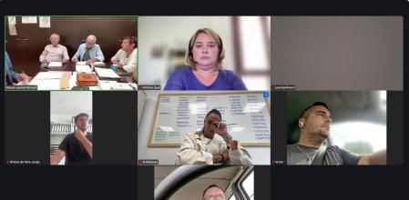 Imagen del pleno telemático