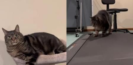 Lo que quema luego se lo come