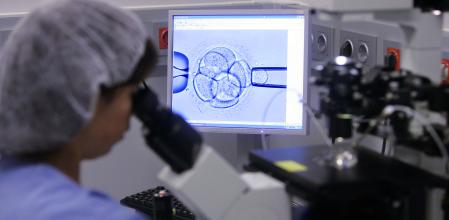 Imagen de archivo de una biopsia embrionaria en un laboratorio de fecundación in vitro 