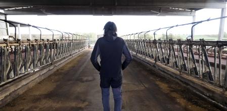 Un granjero del Alt Empordà pasea por su explotacion vacía después de haber sacrificado sus 270 vacas.