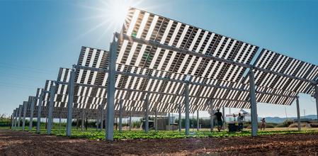 UPC planta agrivoltaica