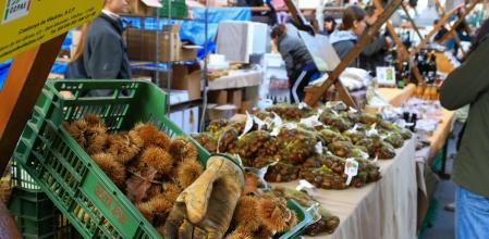 Fira de la castanya de Viladrau